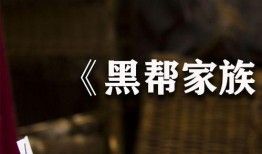 家族爆炸爆料视频大全最新,揭秘豪门恩怨与惊人真相